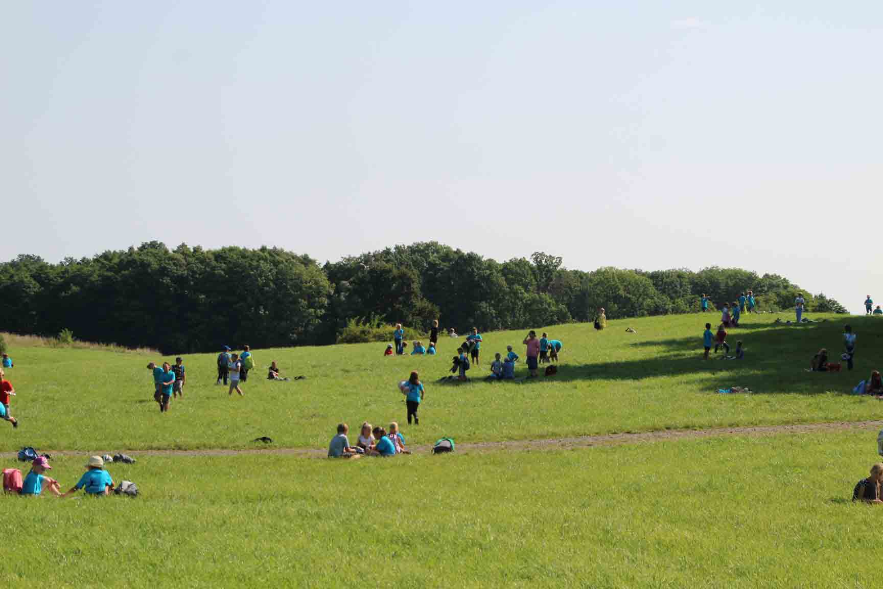 Auf der Wiese